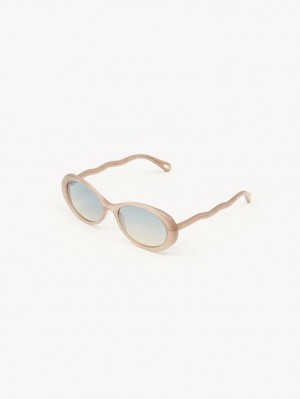 BROWN / BEIGE Chloe Zelie Sunglasses | CHE-SR14553