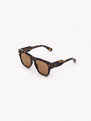 BURGUNDY PANSY Chloe Gayia Sunglasses | CHE-SR14576