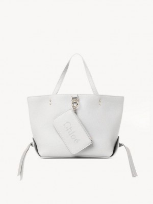 Crystal White Chloe Sense Small East-west Shoulder Bags | CHE-SR13421