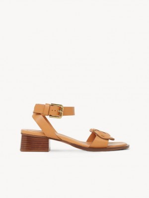 Cuoio Chloe Chany High-heel Sandals | CHE-SR14828