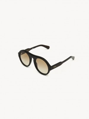 Dark Havana Chloe Gayia Sunglasses | CHE-SR14572