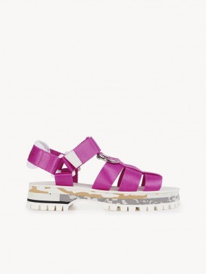 FIZZY PINK Chloe Nikie Active Flat Sandals | CHE-SR14177