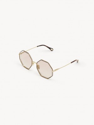 GOLD/NUDE Chloe Poppy Petite Sunglasses | CHE-SR14546