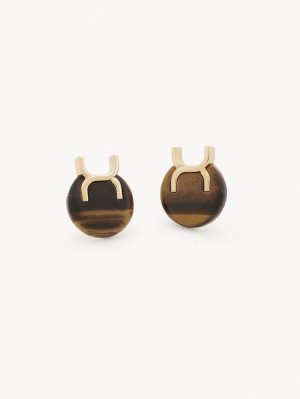 GOLD COLOR Chloe Marcie Clip-on Earrings | CHE-SR14448