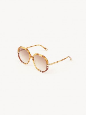 HAVANA PATCHWORK Chloe West Sunglasses | CHE-SR14547