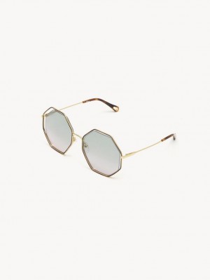 HAVANA / GREEN ROSE Chloe Poppy Sunglasses | CHE-SR14534