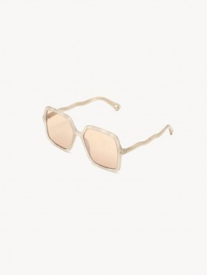 Ivory Chloe Zelie Sunglasses | CHE-SR14516