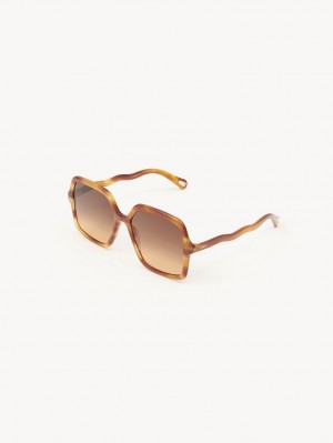 Light Havana Chloe Zelie Sunglasses | CHE-SR14562