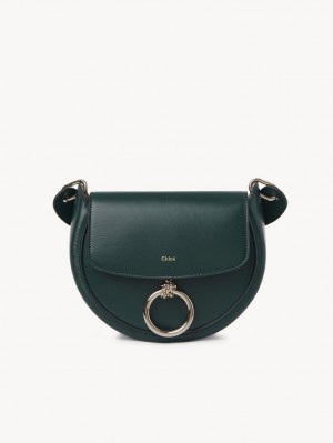 MARBLE GREEN Chloe Arlène Small Crossbody Crossbody Bags | CHE-SR13463