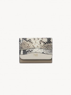 Motty Grey Chloe Layers Medium Tri-fold Compact Wallets | CHE-SR14898