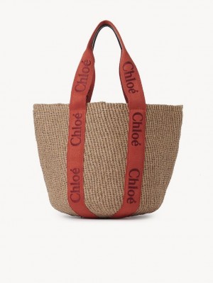 ORANGE - ORANGE 1 Chloe Large Woody Baskets | CHE-SR13646