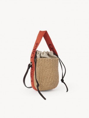 ORANGE - ORANGE 1 Chloe Small Woody Baskets | CHE-SR13645