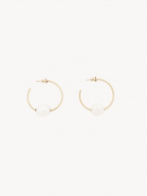 Pearl Chloe Darcey Hoop Earrings | CHE-SR14441