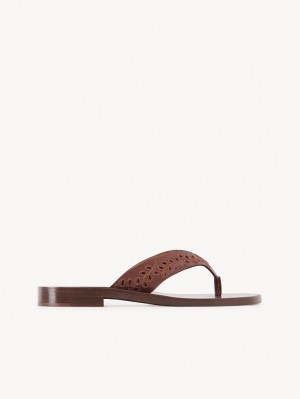 Red Ochre Chloe X Eres Paz Flat Sandals | CHE-SR14145