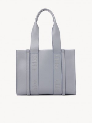 STORM BLUE Chloe Medium Woody Tote Bags | CHE-SR13323