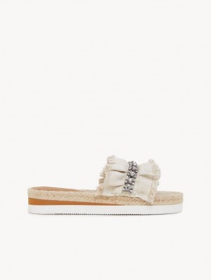 Silver Chloe Mollie Espadrille Flats | CHE-SR14801