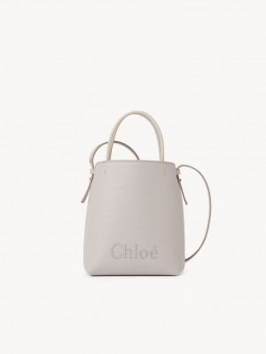 WILD GREY Chloe Sense Micro Crossbody Bags | CHE-SR13581