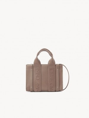 WOODROSE Chloe Mini Woody Crossbody Bags | CHE-SR13569