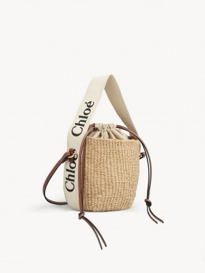 White Chloe Small Woody Basket Crossbody Bags | CHE-SR13609