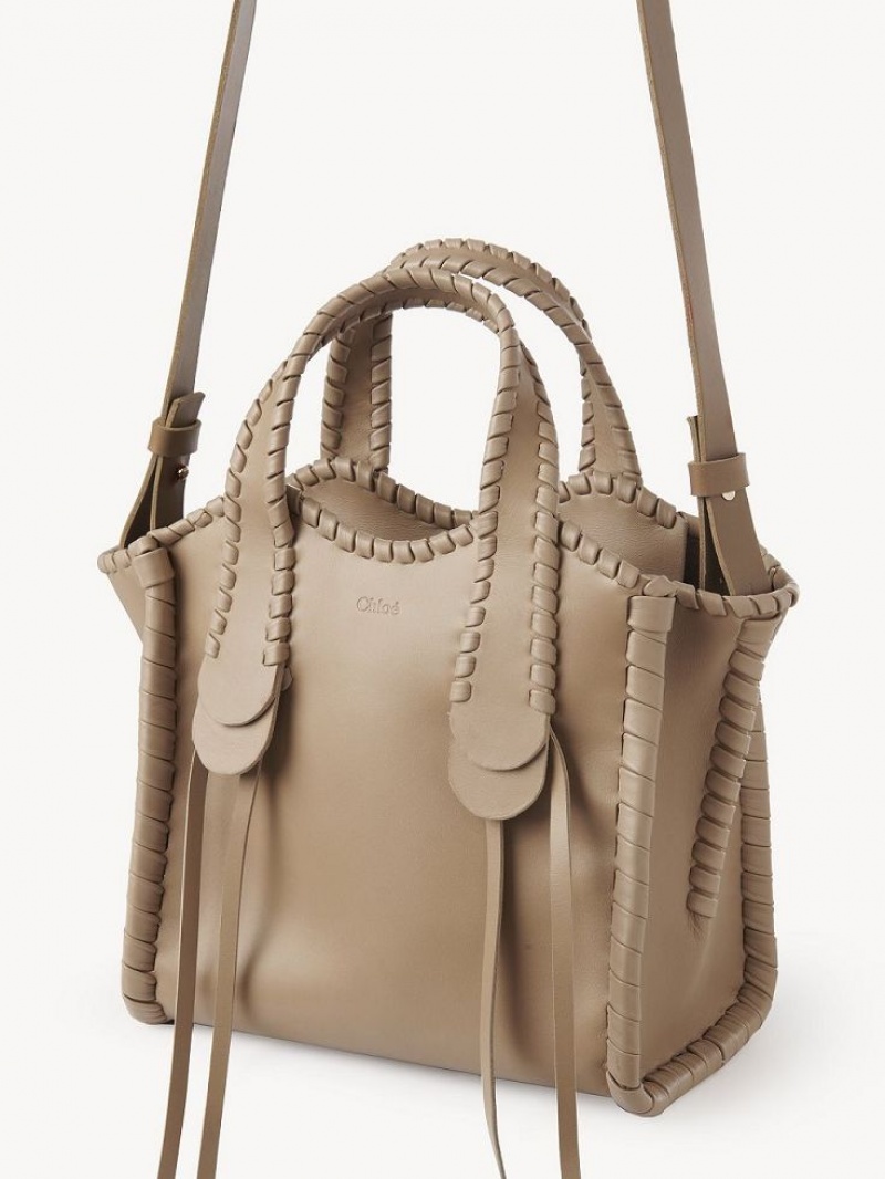 ARGIL BROWN Chloe Small Mony Crossbody Bags | CHE-SR13602