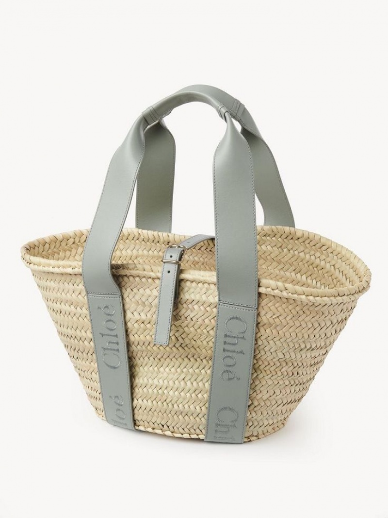 BAY GREEN Chloe Sense Medium Basket Tote Bags | CHE-SR13383