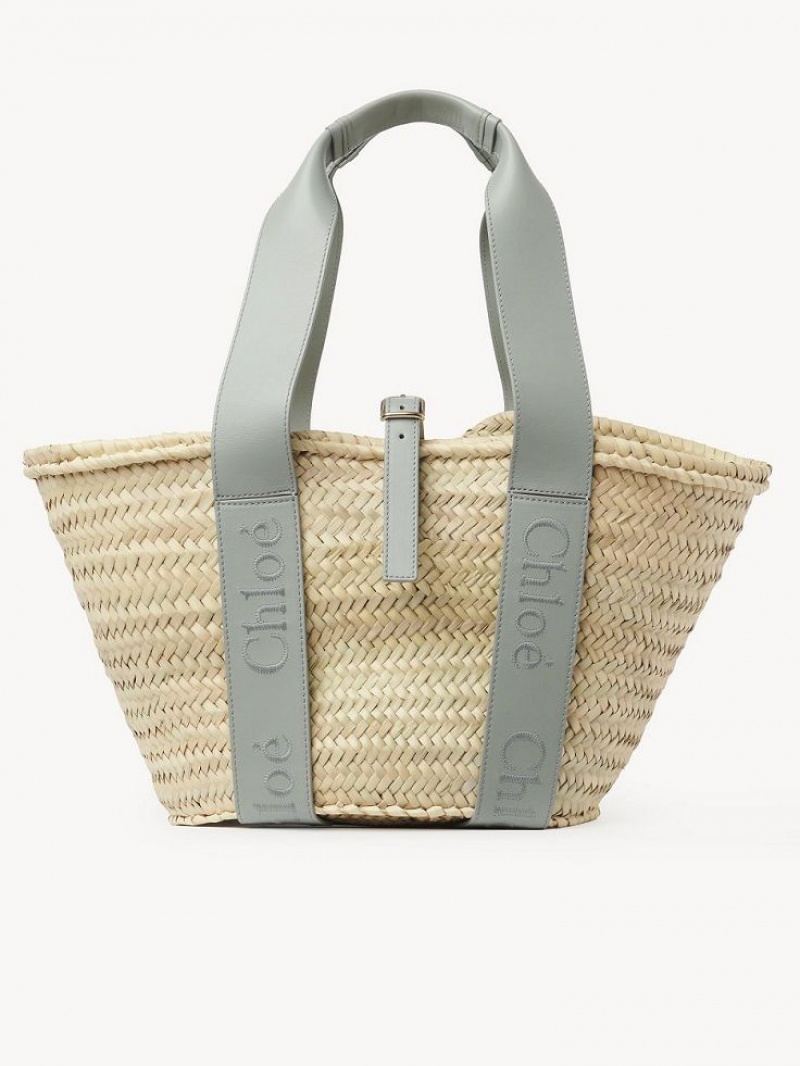 BAY GREEN Chloe Sense Medium Basket Tote Bags | CHE-SR13383