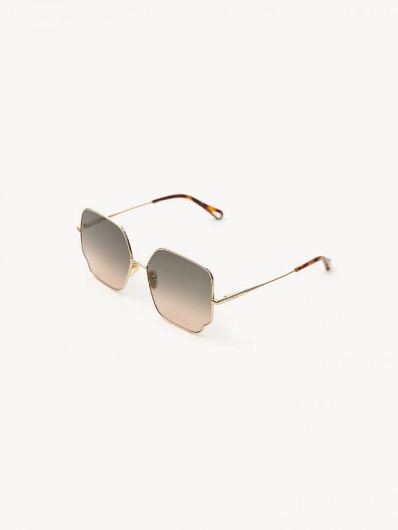 BROWN / BEIGE Chloe Joni Sunglasses | CHE-SR14541