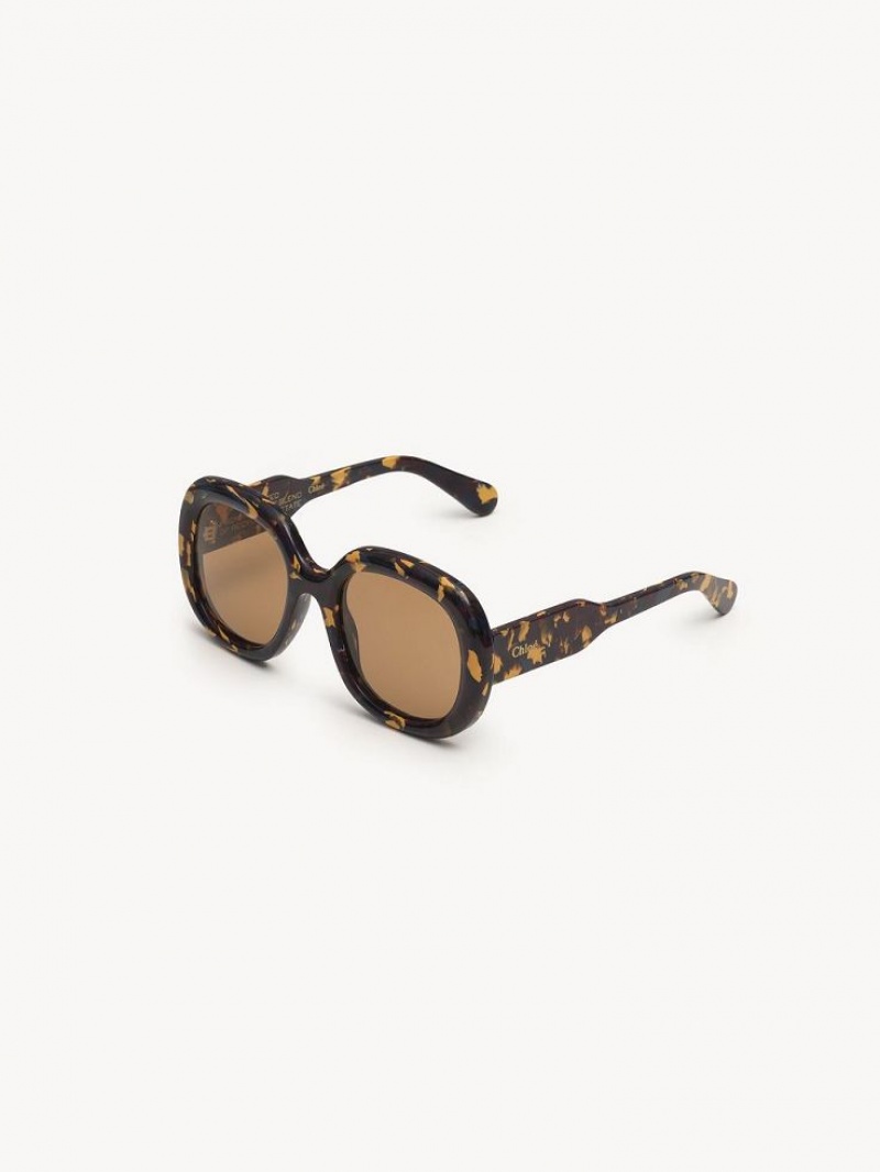 BURGUNDY PANSY Chloe Gayia Sunglasses | CHE-SR14577