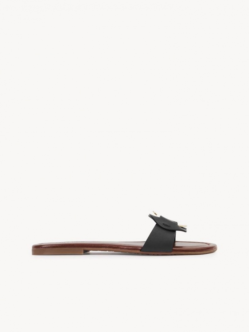 Black Chloe Chany Mule Flats | CHE-SR14838