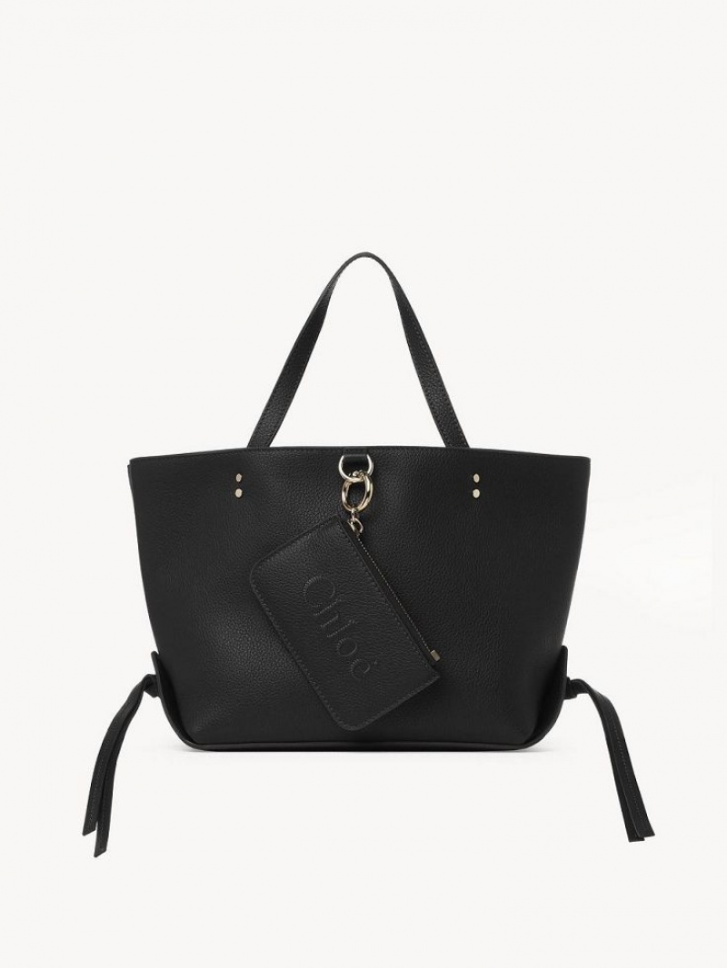 Black Chloe Sense Small East-west Shoulder Bags | CHE-SR13420