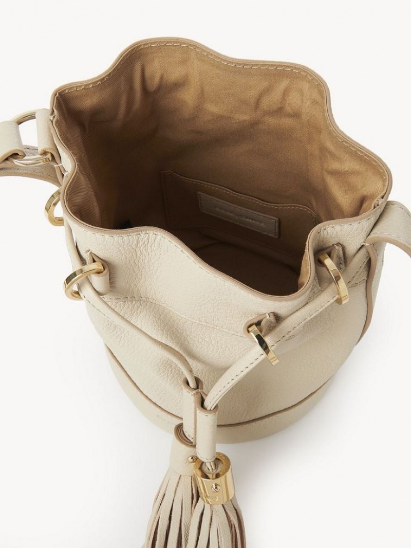 Cement Beige Chloe Vicki Small Bucket Shoulder Bags | CHE-SR14643