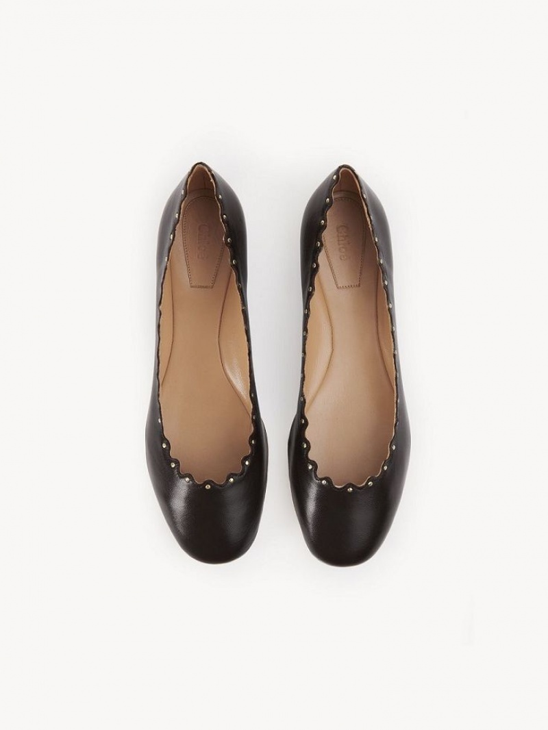 Chocolate Chloe Lauren Ballet Flat | CHE-SR14253