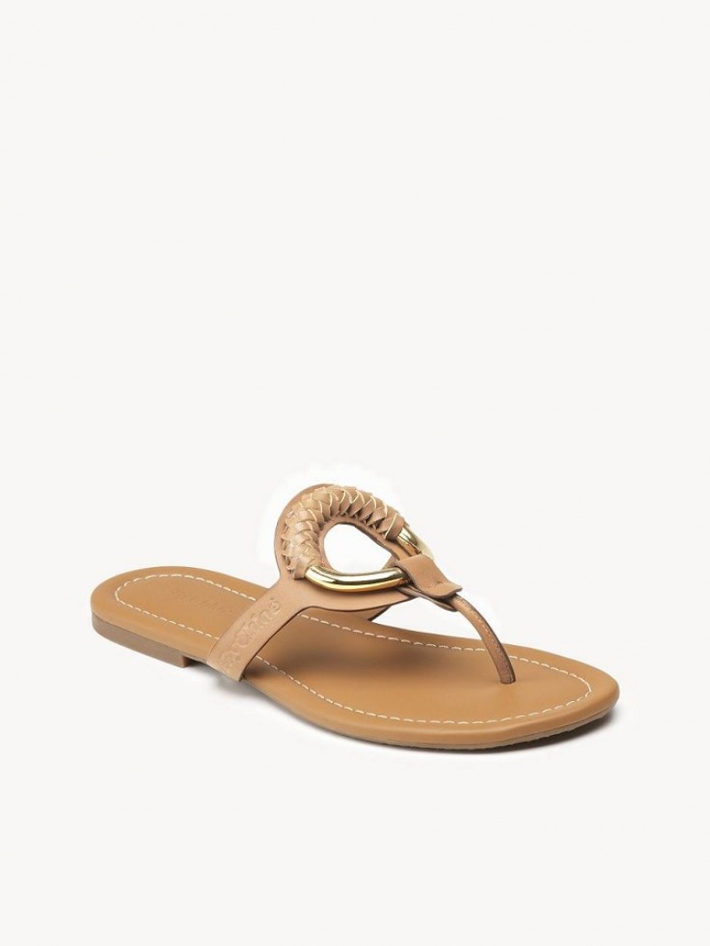 Cuoio Chloe Hana Flip-flop Flats | CHE-SR14818