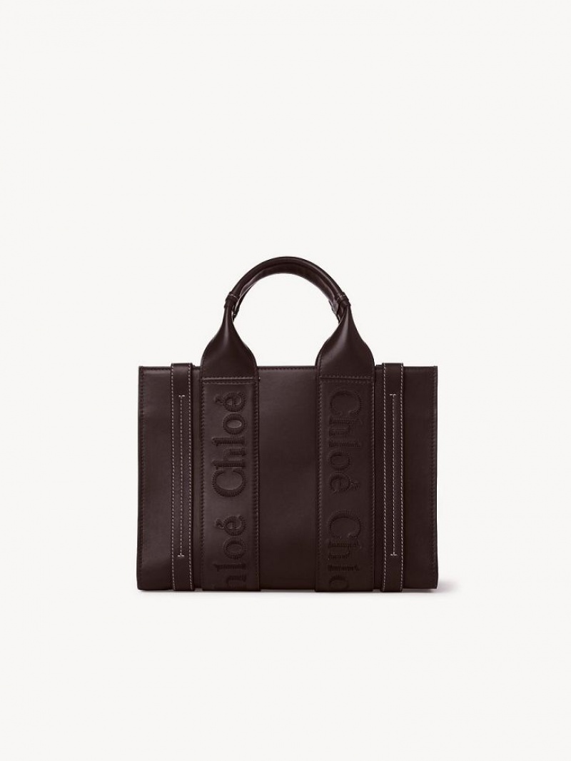 DEEP VIOLINE Chloe Small Woody Tote Bags | CHE-SR13375