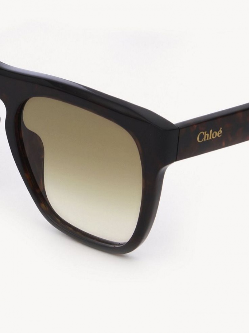 Dark Havana Chloe Gayia Sunglasses | CHE-SR14571