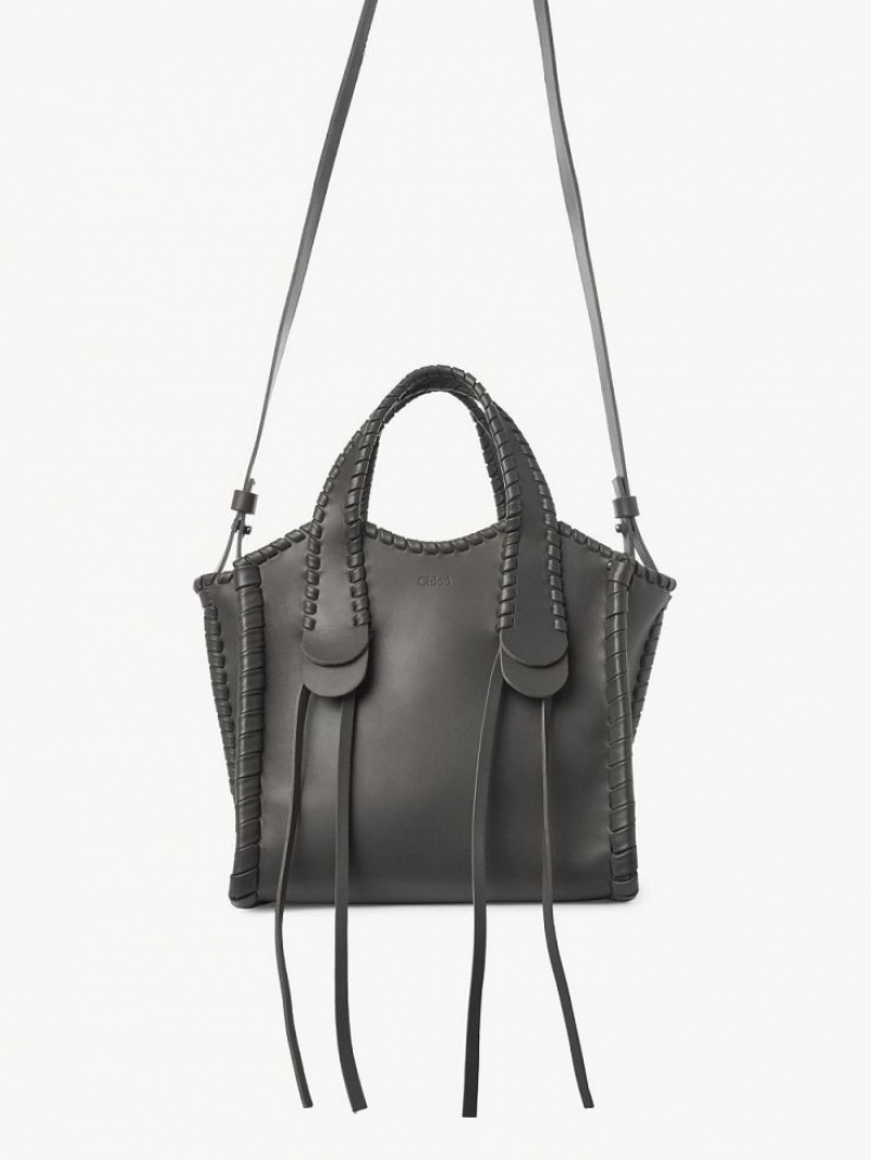 Elephant Grey Chloe Small Mony Tote Bags | CHE-SR13398