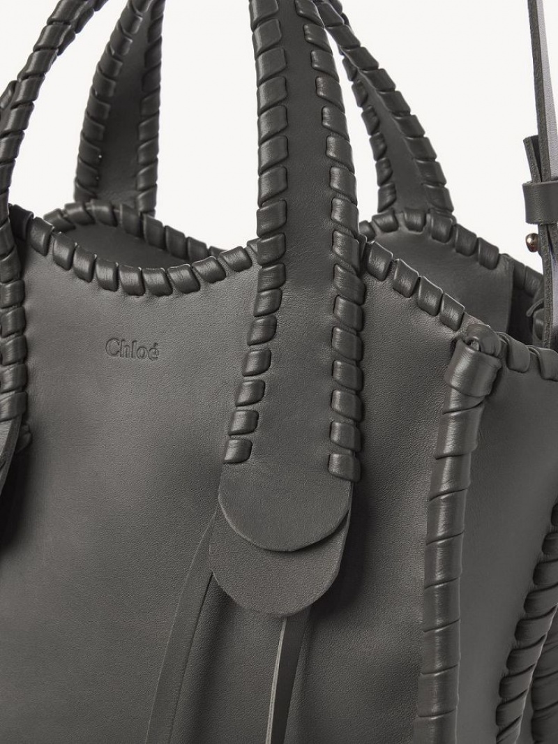 Elephant Grey Chloe Small Mony Tote Bags | CHE-SR13398