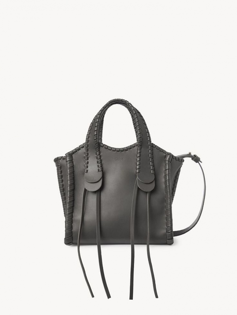 Elephant Grey Chloe Small Mony Tote Bags | CHE-SR13398