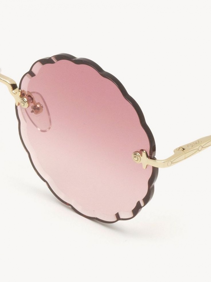 GOLD/GRADIENT PINK Chloe Rosie Sunglasses | CHE-SR14555