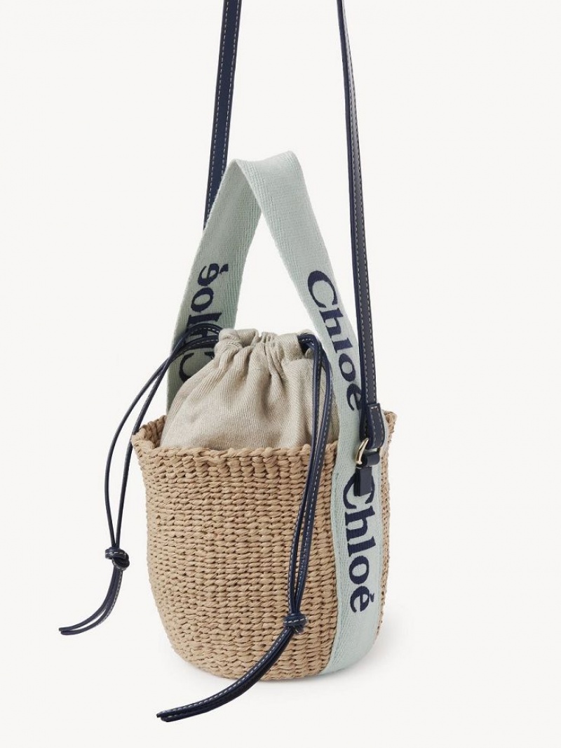 GREEN - BLUE 1 Chloe Small Woody Baskets | CHE-SR13643