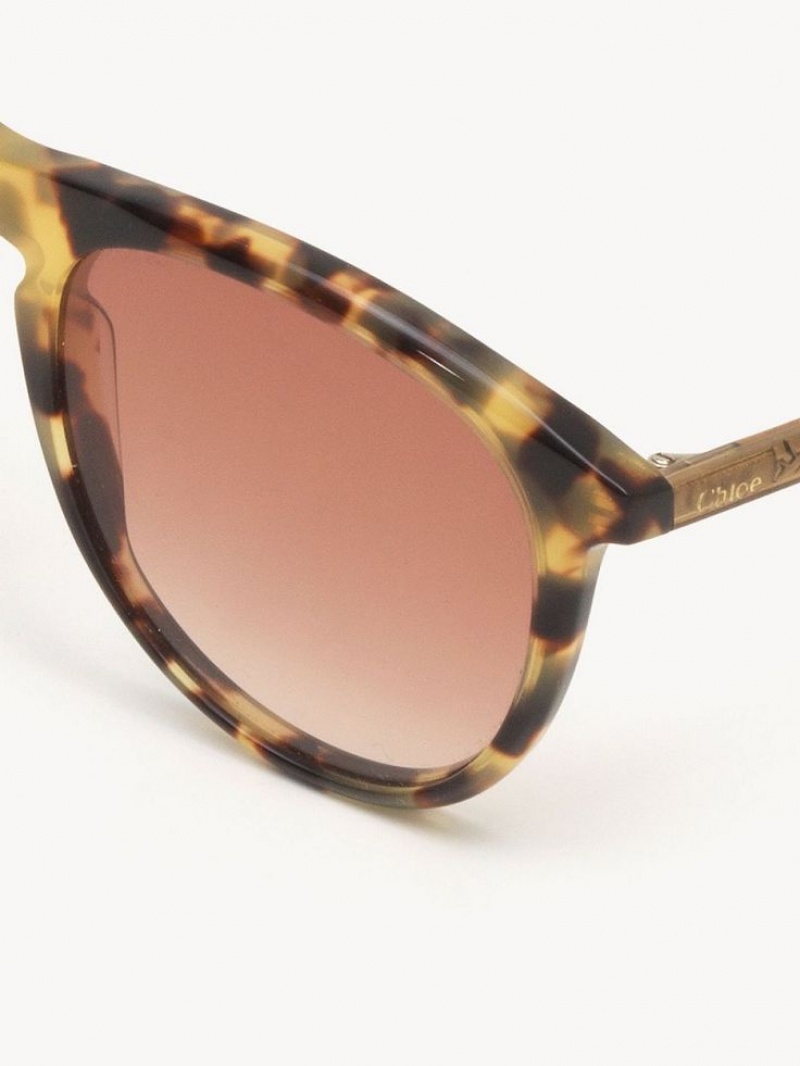 HAVANA/PEACH Chloe Esther Sunglasses | CHE-SR14504