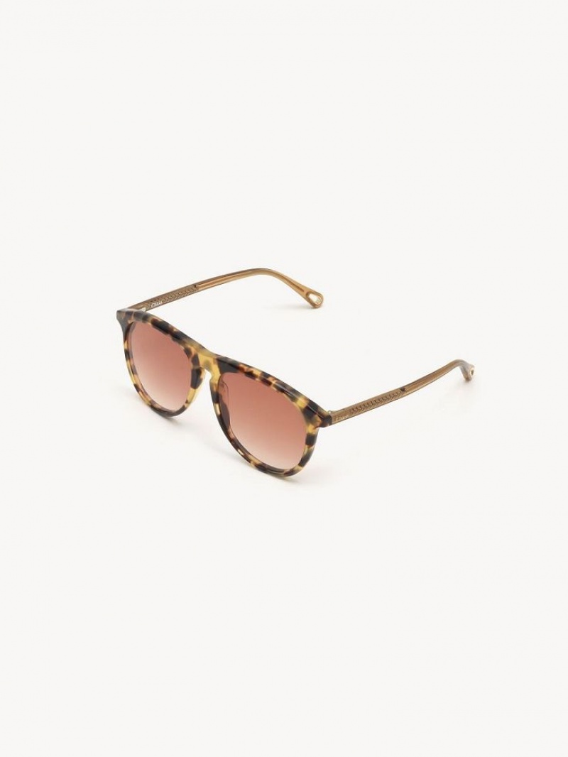 HAVANA/PEACH Chloe Esther Sunglasses | CHE-SR14504