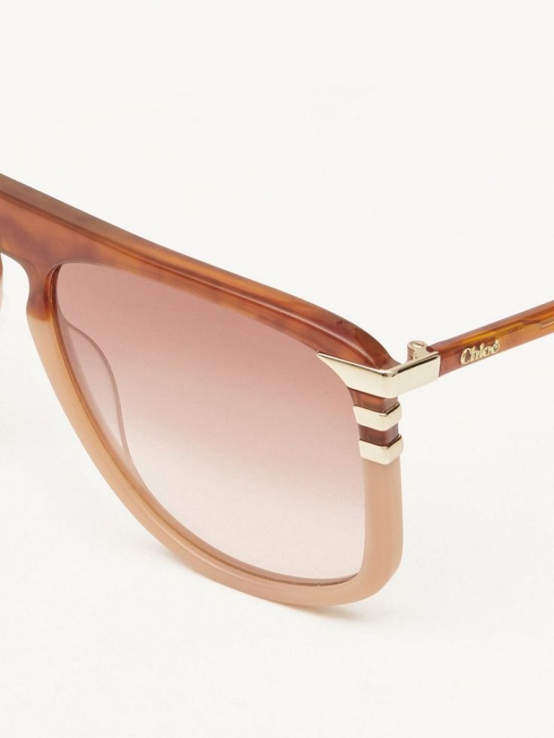 HAVANA/PEACH Chloe West Small Sunglasses | CHE-SR14522