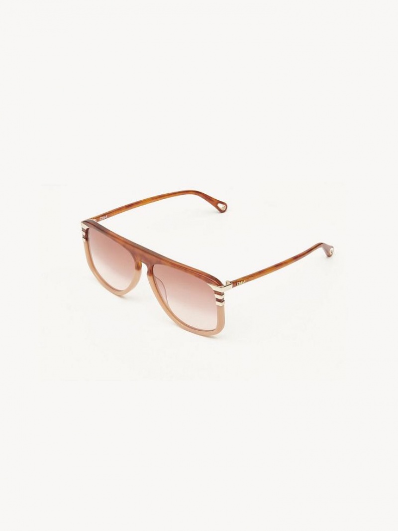 HAVANA/PEACH Chloe West Small Sunglasses | CHE-SR14522