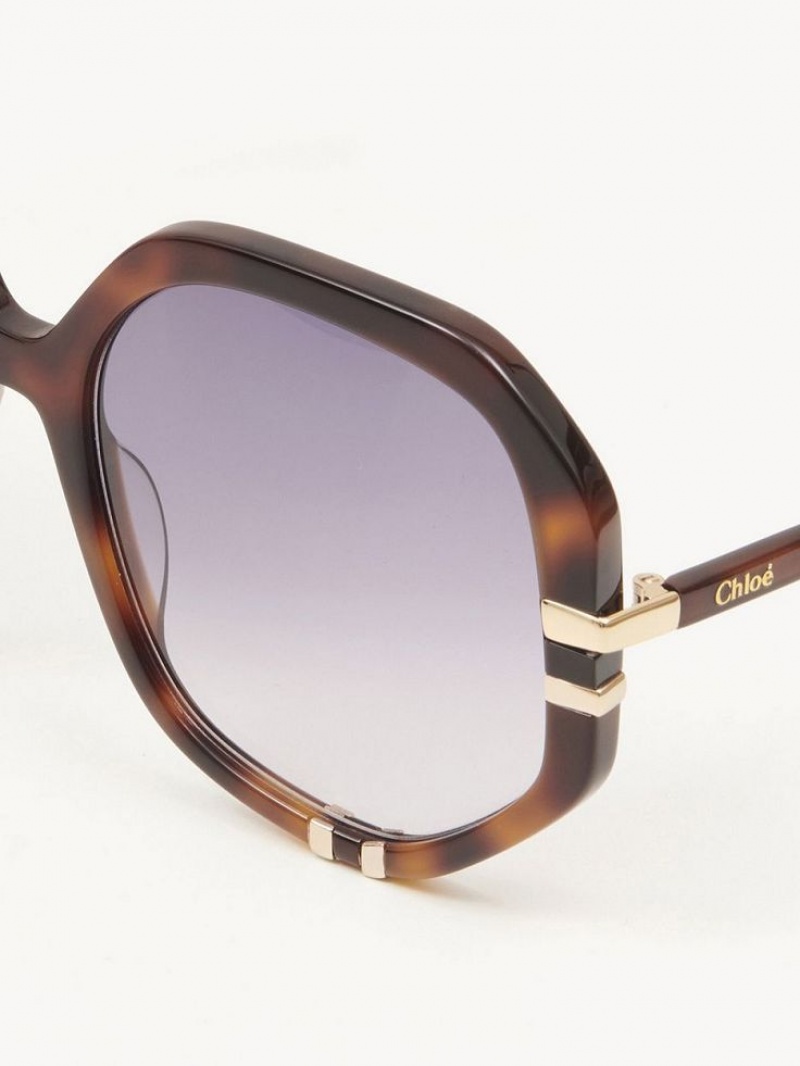 HAVANA / GRAD BLUE Chloe West Sunglasses | CHE-SR14559