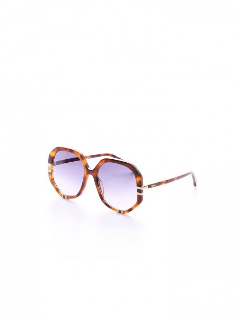 HAVANA / GRAD BLUE Chloe West Sunglasses | CHE-SR14559