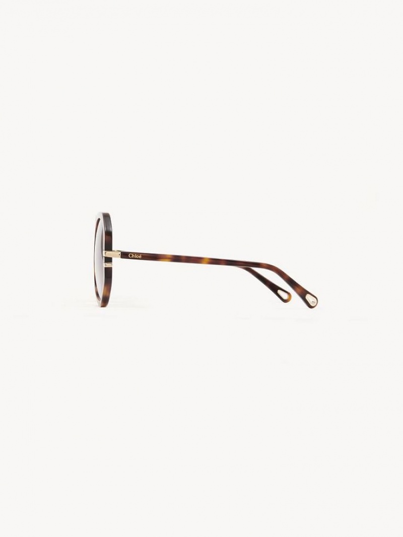 HAVANA / GRAD BLUE Chloe West Sunglasses | CHE-SR14559