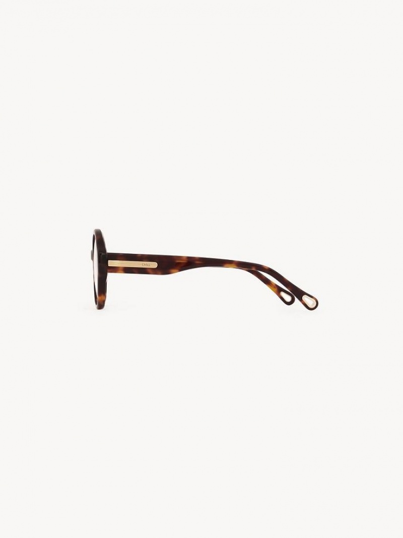 Havana Chloe Mirtha Eyeglasses | CHE-SR14583