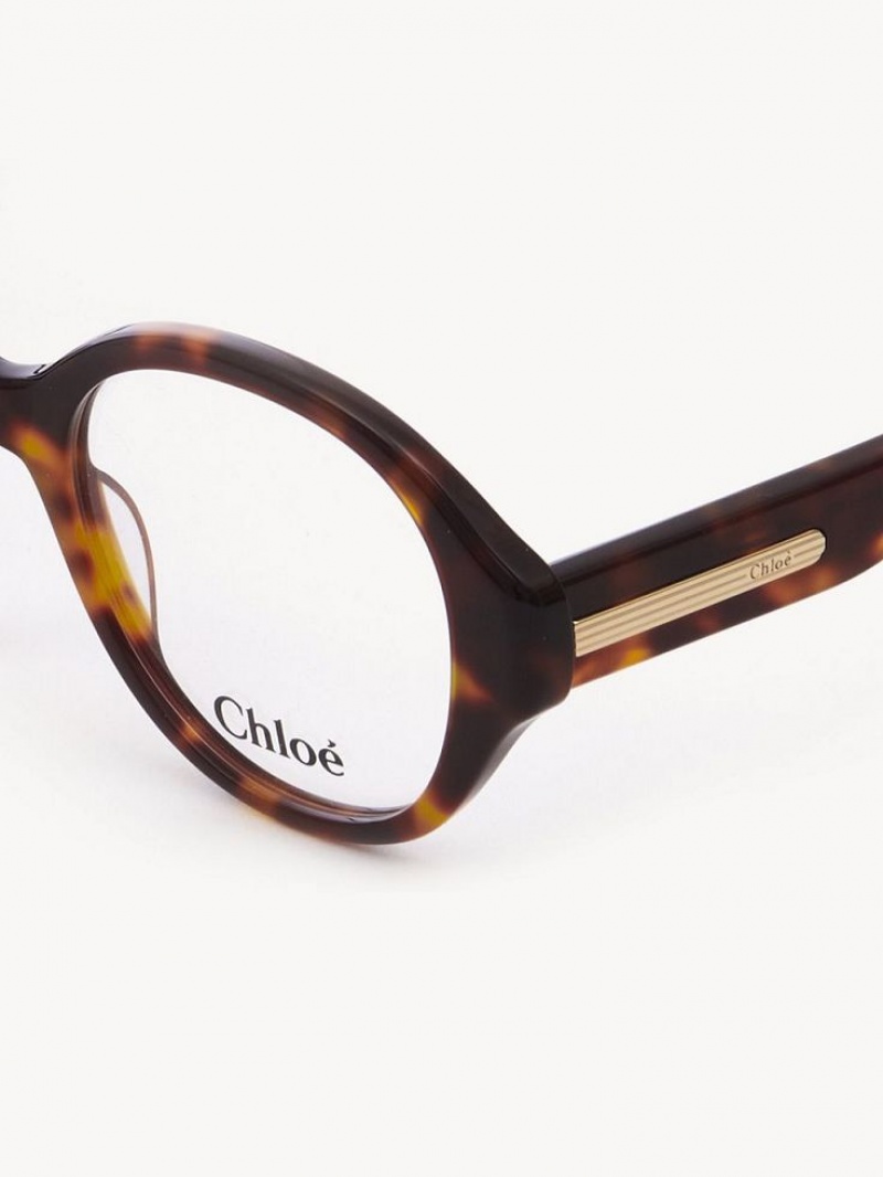 Havana Chloe Mirtha Eyeglasses | CHE-SR14583