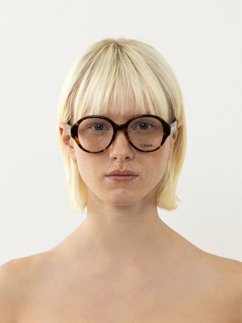 Havana Chloe Mirtha Eyeglasses | CHE-SR14583